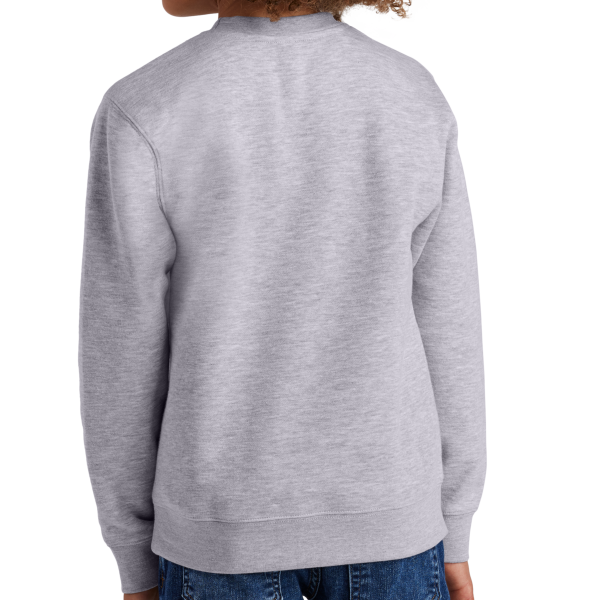District Youth V.I.T. Fleece Crew, Light Heather Grey, Back view