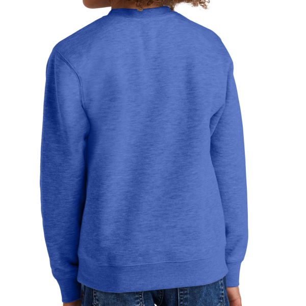 District Youth V.I.T. Fleece Crew, Royal Frost, Back view