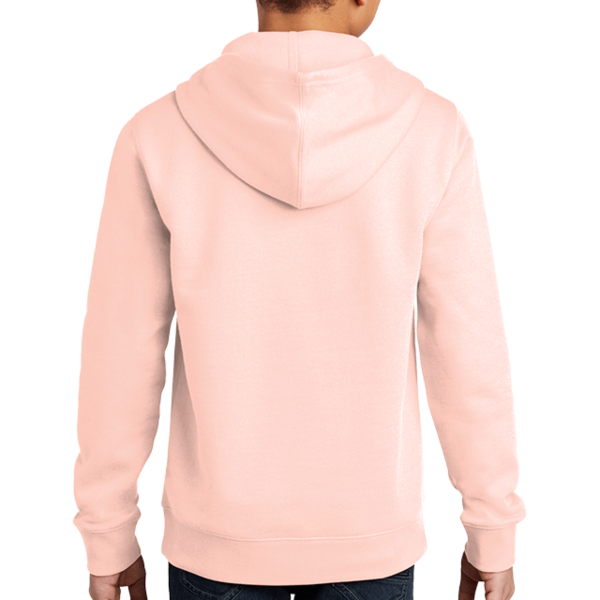 District Youth V.I.T. Fleece Hoodie, Rosewater Pink, Back view
