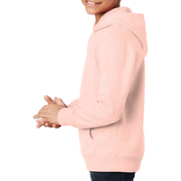 District Youth V.I.T. Fleece Hoodie, Rosewater Pink, Left Sleeve view