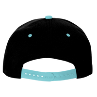 Flexfit by Yupoong 110® Snapback Cap, Black / Teal, Back view