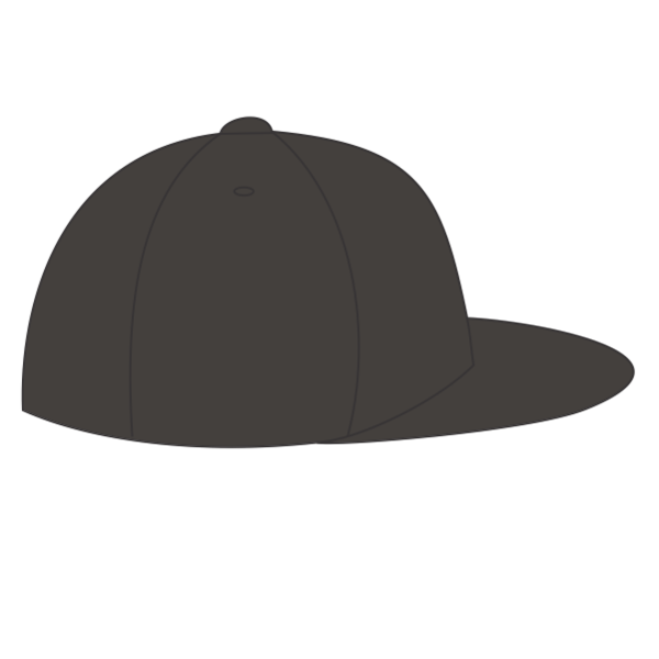 Flexfit by Yupoong Pro-Baseball On Field Cap, Dark Grey, Right Side view