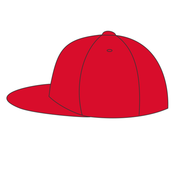 Flexfit by Yupoong Pro-Baseball On Field Cap, Red, Left Side view