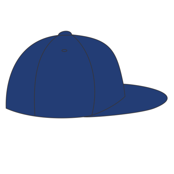 Flexfit by Yupoong Pro-Baseball On Field Cap, Royal Blue, Right Side view