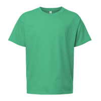 Gildan Softstyle® Youth T-Shirt-R, Heather Irish Green, Front view