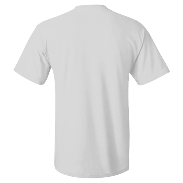 Hanes Men's Authentic Pocket T-Shirt, Ash, Back view