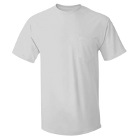 Hanes Men's Authentic Pocket T-Shirt, Ash, Front view