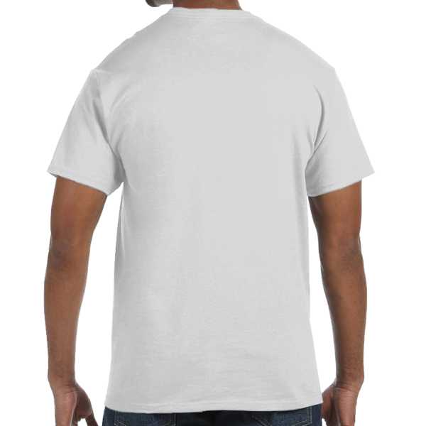 Hanes Unisex Authentic T-Shirt, Ash, Back view