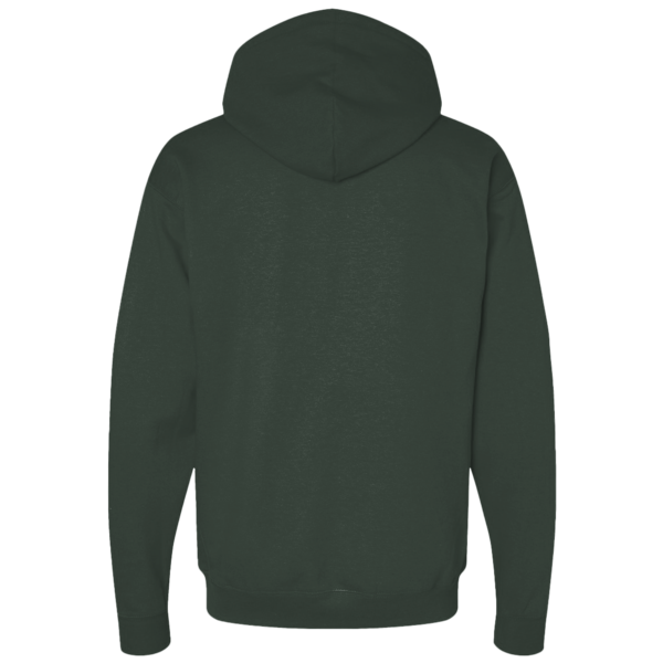 Hanes Unisex EcoSmart® Hooded Sweatshirt, Deep Forest, Back view