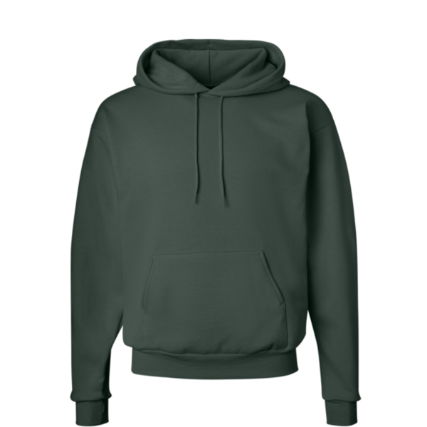 Hanes Unisex EcoSmart® Hooded Sweatshirt, Deep Forest, Front view