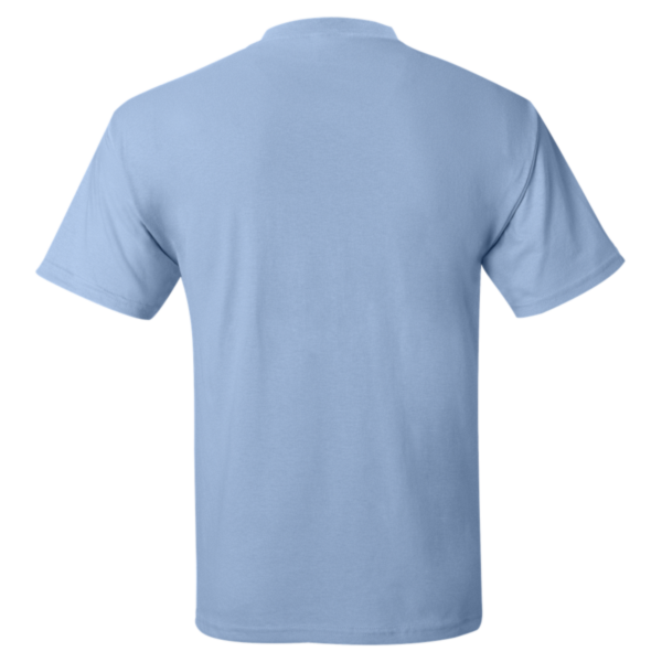 Hanes Unisex EcoSmart® T-Shirt, Light Blue, Back view