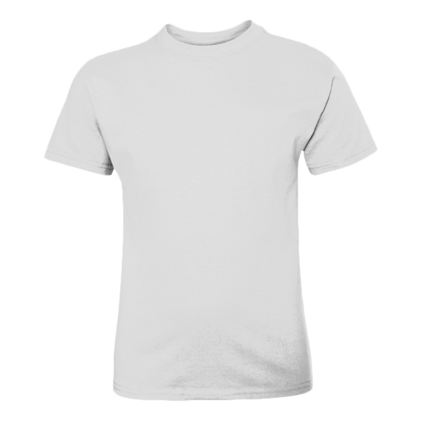 Hanes Youth Authentic T-Shirt, Ash, Front view
