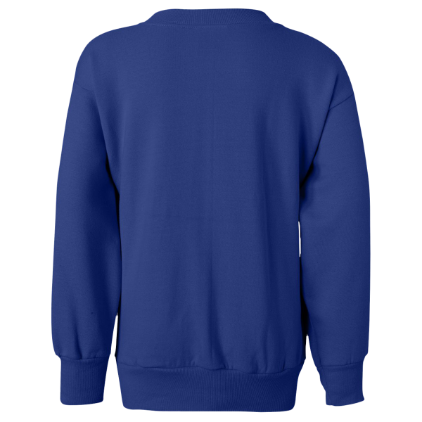 Hanes Youth EcoSmart® Crewneck Sweatshirt, Deep Royal, Back view