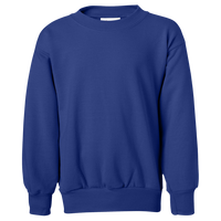 Hanes Youth EcoSmart® Crewneck Sweatshirt, Deep Royal, Front view
