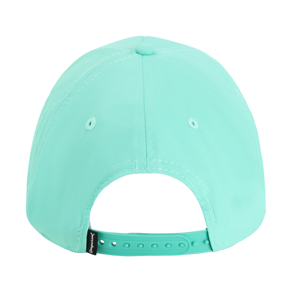 Imperial The Corral Cap, Aqua / Aqua, Back view