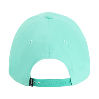 Imperial The Corral Cap, Aqua / Aqua, Back view