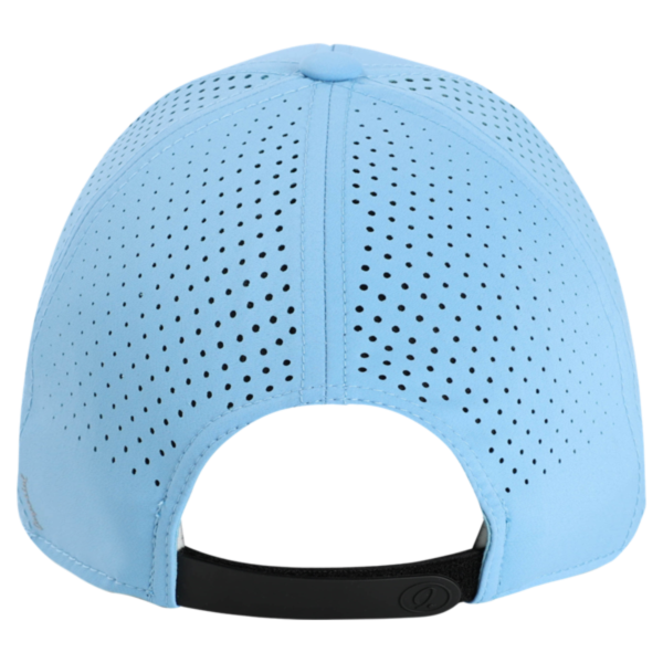 Imperial The Dyno Cap, Light Blue, Back view