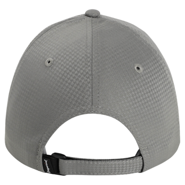 Imperial The Sophisticate Cap, Frost Grey, Back view