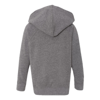 Independent Trading Co. Toddler Special Blend Hooded Raglan Sweatshirt, Nickel / Nickel, Back view