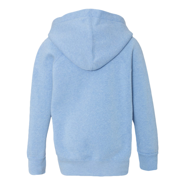 Independent Trading Co. Toddler Special Blend Hooded Raglan Sweatshirt, Pacific / Pacific, Back view
