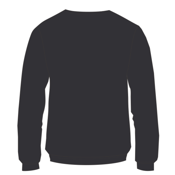 Independent Trading Co. Women's California Wave Wash Crewneck Sweatshirt, Black, Back view