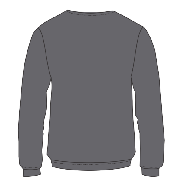 Independent Trading Co. Women's California Wave Wash Crewneck Sweatshirt, Shadow, Back view