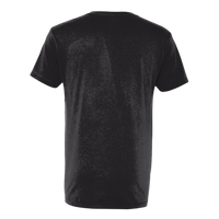 Next Level Apparel Unisex Cotton V-Neck T-Shirt, Black, Back view