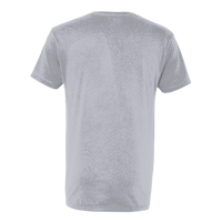 Next Level Apparel Unisex Cotton V-Neck T-Shirt, Heather Grey, Back view