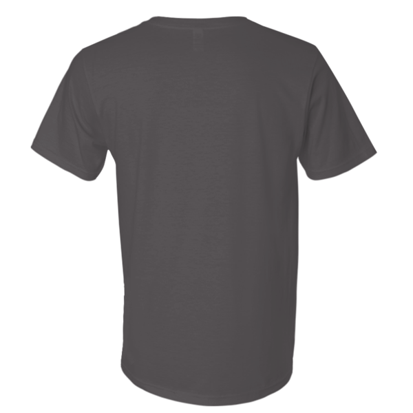 Next Level Apparel Unisex Festival T-Shirt, Charcoal, Back view
