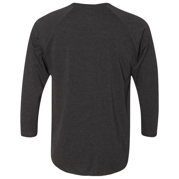 Next Level Apparel Unisex Triblend Three-Quarter Raglan T-Shirt, Vintage Black Sleeves / Vintage Black Body, Back view