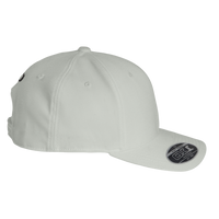 Oakley Pro-Formance Cap, Stone Grey, Right Side view