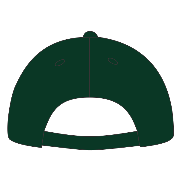 Port Authority Five Panel Twill Cap, Hunter, Back view