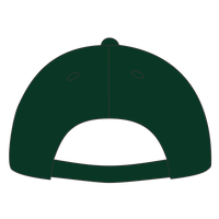 Port Authority Five Panel Twill Cap, Hunter, Back view