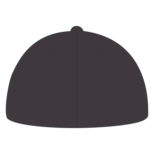 Port Authority Flexfit ® Cotton Twill Cap, Black, Back view