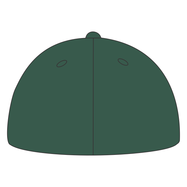 Port Authority Flexfit ® Cotton Twill Cap, Forest Green, Back view