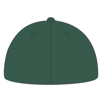 Port Authority Flexfit ® Cotton Twill Cap, Forest Green, Back view