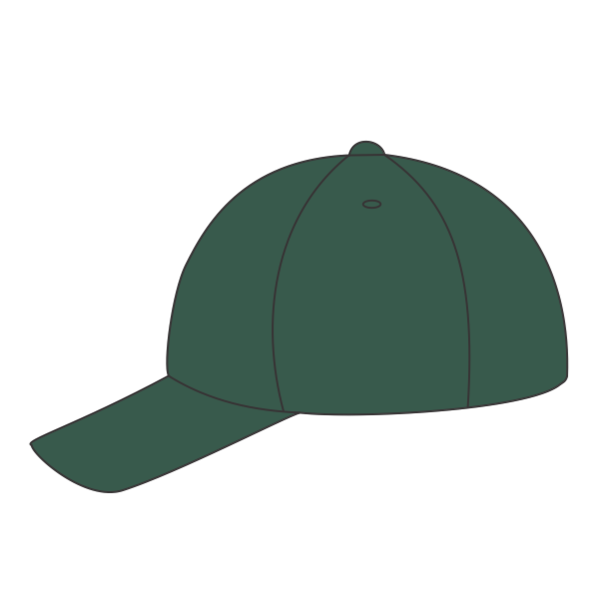 Port Authority Flexfit ® Cotton Twill Cap, Forest Green, Left Side view