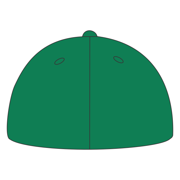 Port Authority Flexfit ® Cotton Twill Cap, Kelly Green, Back view
