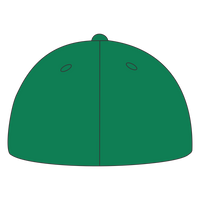 Port Authority Flexfit ® Cotton Twill Cap, Kelly Green, Back view