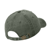 Port Authority Pigment Dyed Cap, Hunter, Back view