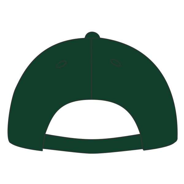 Port Authority Six Panel Twill Cap, Hunter, Back view