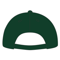 Port Authority Six Panel Twill Cap, Hunter, Back view