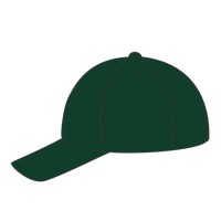 Port Authority Six Panel Twill Cap, Hunter, Left Side view