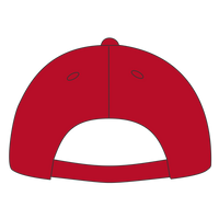 Port Authority Six Panel Twill Cap, Red, Back view
