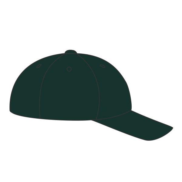 Port Authority Six Panel Unstructured Twill Cap, Hunter, Headwear Right view