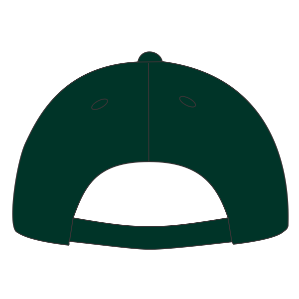 Port Authority Washed Twill Cap, Hunter, Back view