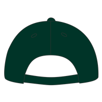 Port Authority Washed Twill Cap, Hunter, Back view