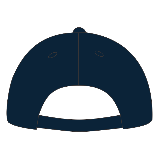 Port Authority Washed Twill Cap, Navy, Back view