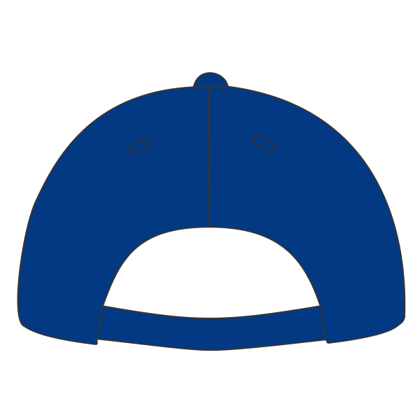 Port Authority Washed Twill Cap, Royal, Back view