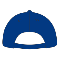 Port Authority Washed Twill Cap, Royal, Back view